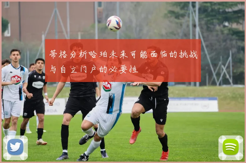 蒂格分析哈珀未来可能面临的挑战与自立门户的必要性