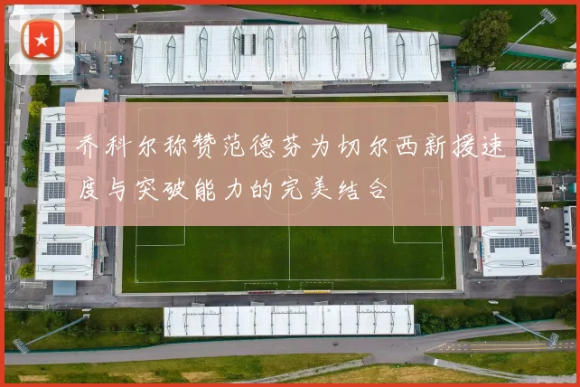 乔科尔称赞范德芬为切尔西新援速度与突破能力的完美结合